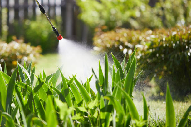 24/7 Emergency Mosquito Control experts in Bemidji, MN