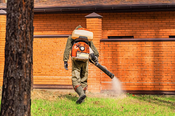 Top rated local Mosquito Control specialists in Bemidji, MN